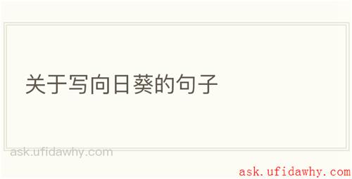 关于写向日葵的句子