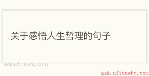 关于感悟人生哲理的句子