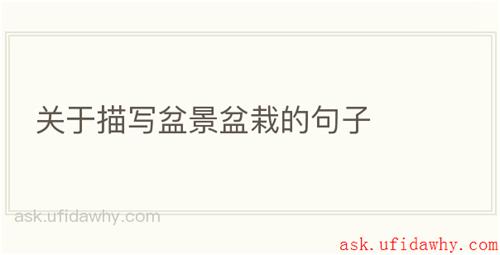 关于描写盆景盆栽的句子