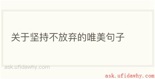 关于坚持不放弃的唯美句子