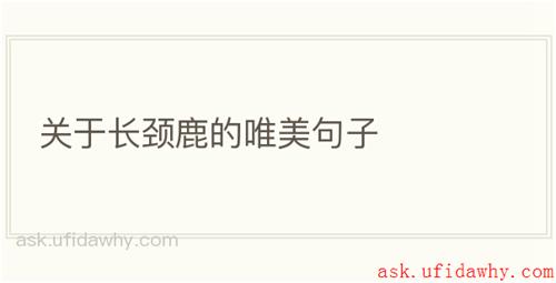 关于长颈鹿的唯美句子