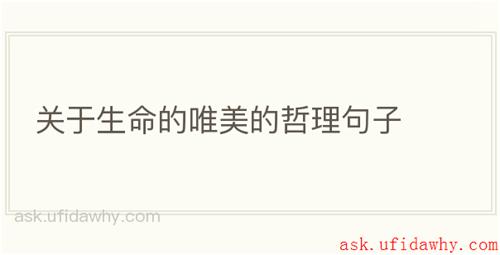 关于生命的唯美的哲理句子