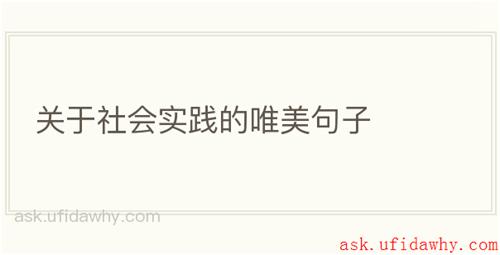 关于社会实践的唯美句子