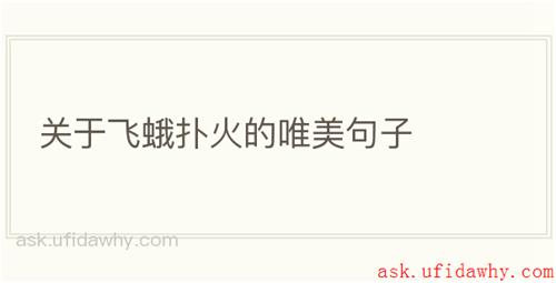 关于飞蛾扑火的唯美句子