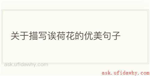 关于描写诶荷花的优美句子