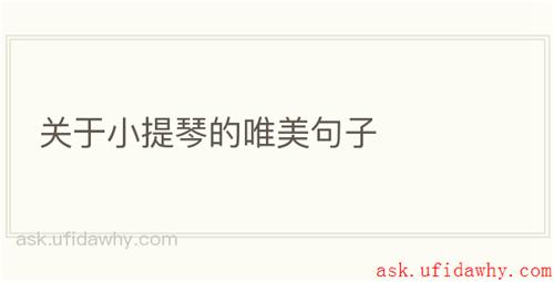 关于小提琴的唯美句子