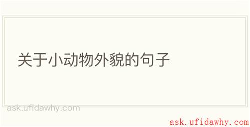 关于小动物外貌的句子