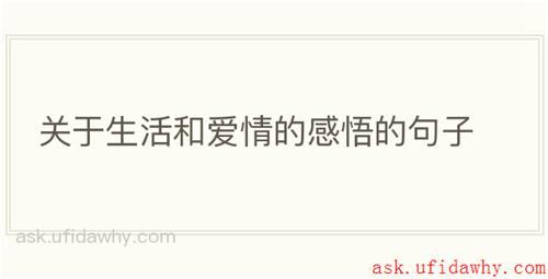 关于生活和爱情的感悟的句子