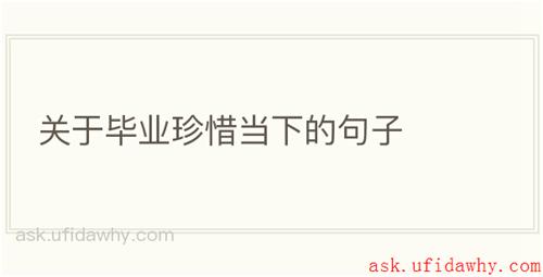 关于毕业珍惜当下的句子