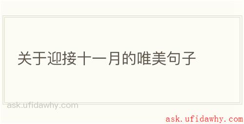 关于迎接十一月的唯美句子
