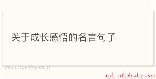 关于成长感悟的名言句子