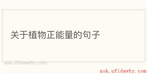 关于植物正能量的句子