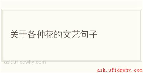 关于各种花的文艺句子