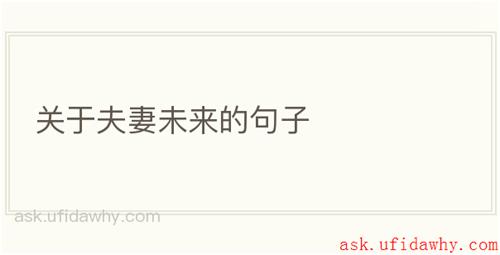 关于夫妻未来的句子