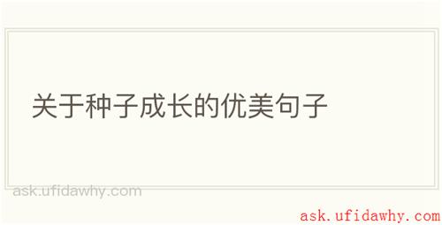 关于种子成长的优美句子