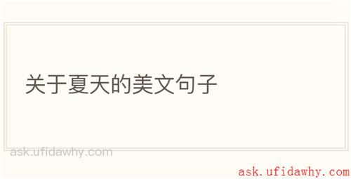 关于夏天的美文句子