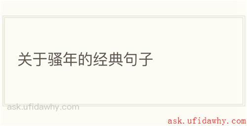 关于骚年的经典句子