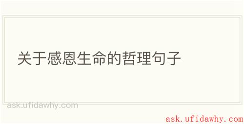 关于感恩生命的哲理句子
