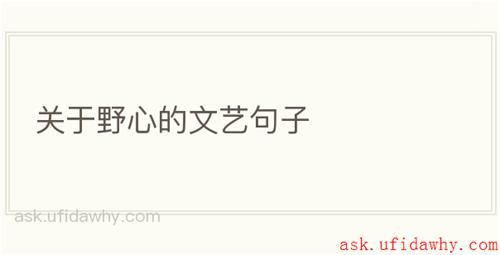 关于野心的文艺句子