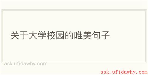 关于大学校园的唯美句子