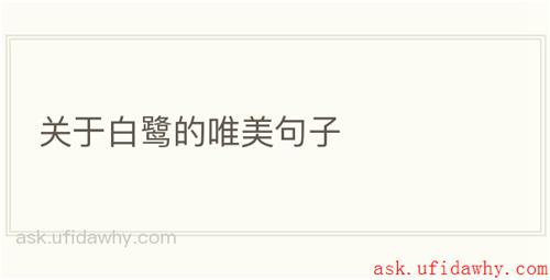 关于白鹭的唯美句子