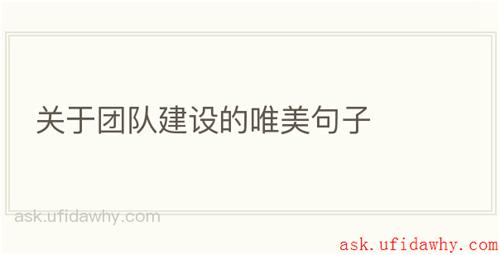 关于团队建设的唯美句子