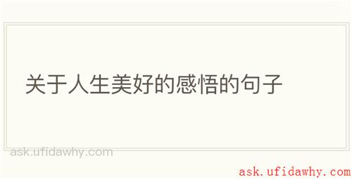 关于人生美好的感悟的句子