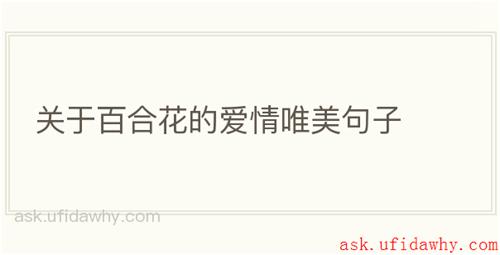 关于百合花的爱情唯美句子