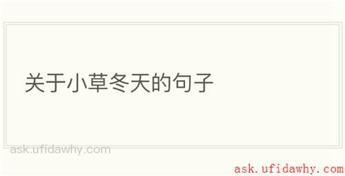 关于小草冬天的句子