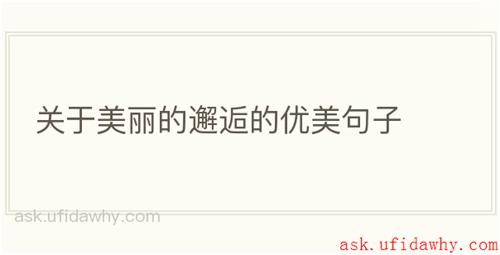 关于美丽的邂逅的优美句子