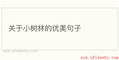 关于小树林的优美句子