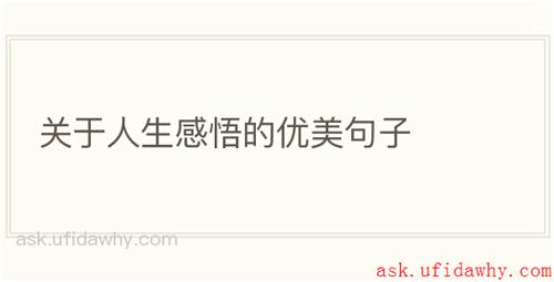 关于人生感悟的优美句子