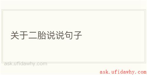 关于二胎说说句子