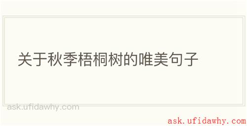 关于秋季梧桐树的唯美句子