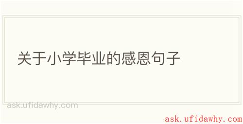 关于小学毕业的感恩句子