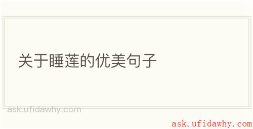 关于睡莲的优美句子