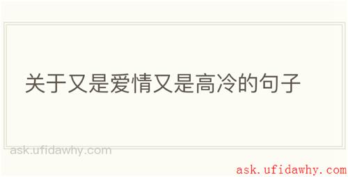 关于又是爱情又是高冷的句子