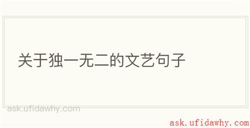 关于独一无二的文艺句子