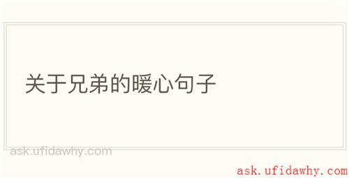 关于兄弟的暖心句子