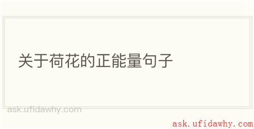 关于荷花的正能量句子