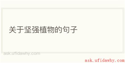 关于坚强植物的句子