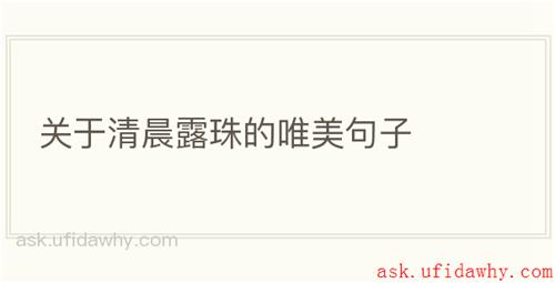 关于清晨露珠的唯美句子