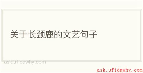 关于长颈鹿的文艺句子