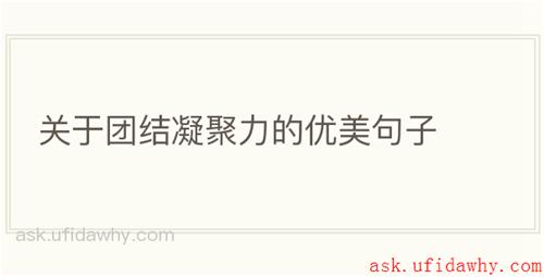 关于团结凝聚力的优美句子