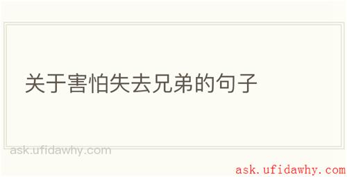 关于害怕失去兄弟的句子