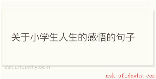 关于小学生人生的感悟的句子