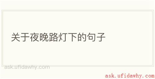 关于夜晚路灯下的句子