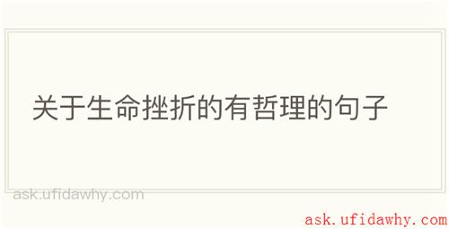 关于生命挫折的有哲理的句子