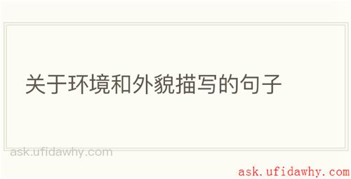 关于环境和外貌描写的句子