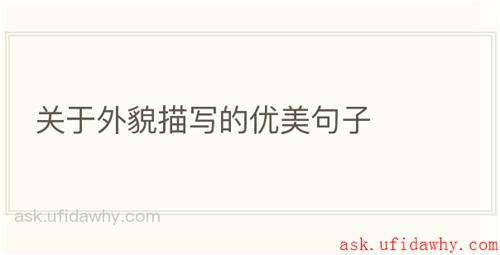 关于外貌描写的优美句子